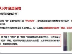 年金险正确认知核心六大功用29页.pptx