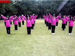 视频晨操新华的天空手语操.rar