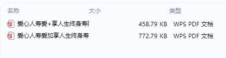 爱心人寿爱加享人生终身寿险条款费率.rar