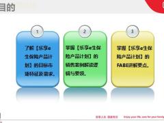 德华安顾人寿乐享e生重大疾病保险产品计划尊享版优享版销售案例篇27页.pptx