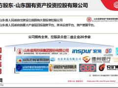 2021德华安顾公司介绍32页.pptx