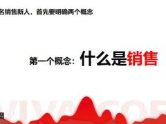 团险3.0销售流程关键动作C端产品链案例分享34页.pptx