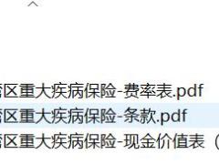 中意附加粤港澳大湾区重大疾病保险条款费率现金价值.rar