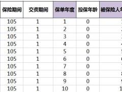 泰康赢悦人生B款年金计划赢悦B鑫账户利益演示表头基础数据及计算公式.xlsx