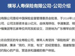 横琴琴童尊享增额终身寿险计划书.xls