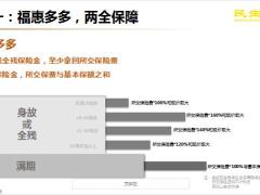 民生如意多多两全保险产品特色形态案例演示24页.pptx