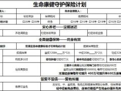 富德生命康健守护保险计划意向书.xlsx