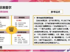 标准普尔及人生的七种保单20页.pptx