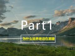 2021私人定制专属自己的养老课题39页.pptx