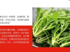 每日健康劝告大家不焯水不吃的四种菜很多人不懂8页.ppt