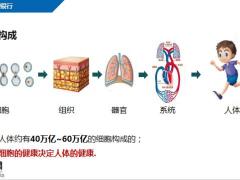 太平洋人寿生命银行介绍30页.pptx