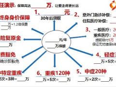 富德全能保太阳图案例含备注4页.pptx