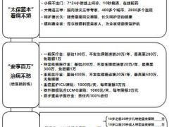 太保太享金典种子讲师彩页训练版黑白印2页.pptx