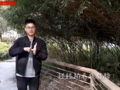 视频晨操手语舞和你一样.rar