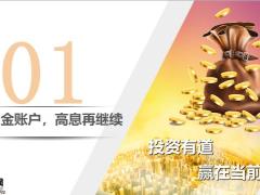 国寿综合助保平台金账户财富管家21页.pptx