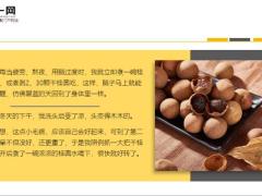每日健康治疗长期失眠最好的食物每天吃一点一觉睡到自然醒9页.ppt