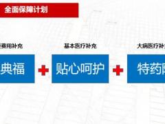 国寿福盛典版B销售逻辑57页.pptx