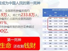 国寿盛典福特药险销售策略35页.pptx