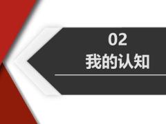 保险绩优分享做好家庭保单整理24页.pptx