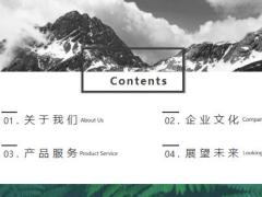 风景工作总结PPT模板25页.pptx