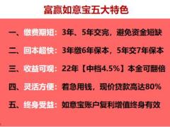 富德生命富赢如意宝五大特色36页.pptx