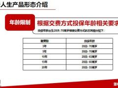 df百年挚爱人生产品形态介绍案例演示特色分析28页.pptx