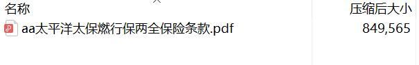 太平洋太保燃行保两全保险条款.rar