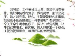 保险主管到底应该管什么25页.pptx