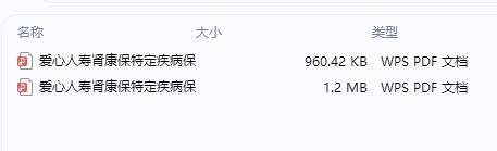 爱心人寿肾康保特定疾病保险条款费率.rar