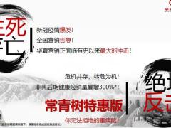 华夏常青树特惠版产品组合介绍24页.pptx