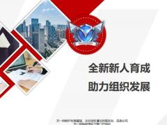 保险公司团队新人育成助力组织发展26页.pptx