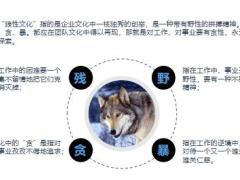 团队塑造狼性文化养成攻略32页.pptx