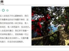每日鸡汤自己的选择自己拼死也要完成.zip