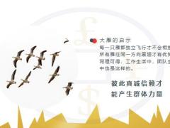 团队管理实操必备技能25页.pptx