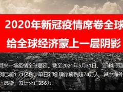 贵宾专属权益发布主讲课件华夏福临门吉祥如意版45页.pptx