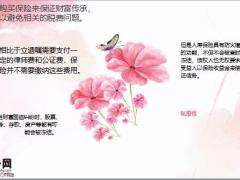 保险在财富传承中的四大功能25页.pptx