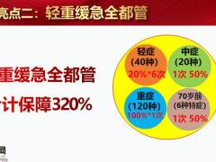 国寿福盛典版十大亮点12页.pptx