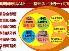 国寿福盛典版通关内容及要求9页.pptx