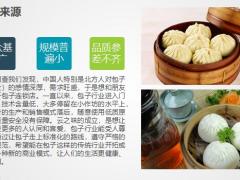 框架完整项目招商PPT模板29页.pptx