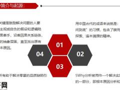 成为解决问题专家5Why问题分析法43页.pptx