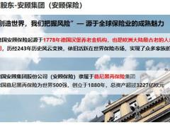 德华安顾公司介绍及产品介绍45页.pptx