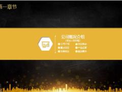 黑黄色商业融资PPT模版37页.pptx