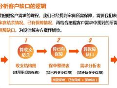家庭保单开发之客户缺口分析31页.pptx