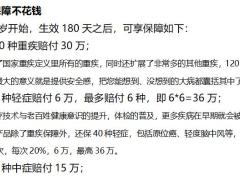 国寿全能盛典B话术整理6页.docx