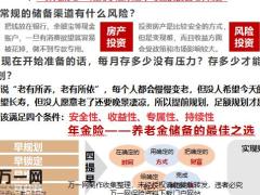 建议书讲解养老版养老五问1页.pptx