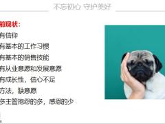 2021客户大拜访活动背景内容运作43页.pptx