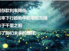 泰康泰康至尊账户庆典版终身寿险万能型产品宣传片55页.pptx