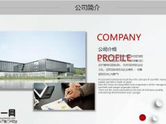 灰色创业项目计划书PPT模板40页.pptx