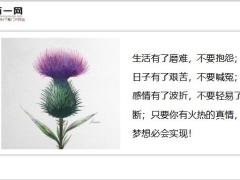 每日鸡汤在有些人前不必一而再的容忍不能让别人践踏你的底线.zip