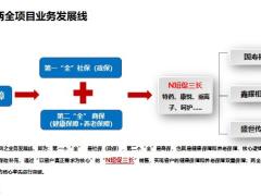 特色经营体系之两全项目战略规划30页.pptx